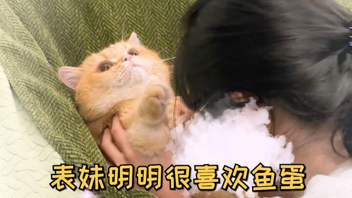 How many jars do you think we should give to the fish balls?