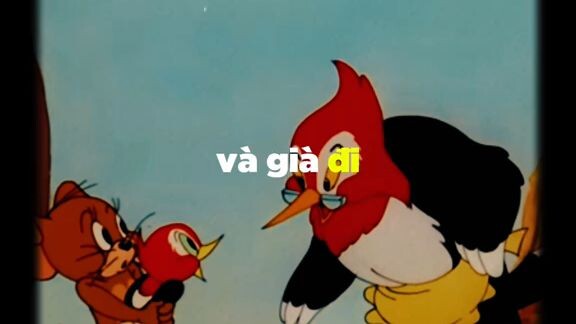 Trên đời này chỉ có nghèo và già đi là không cần có gắng