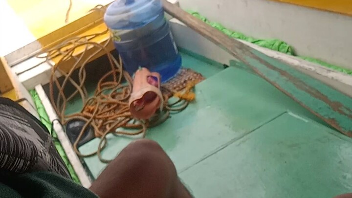 kahadlok saamo byehe