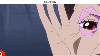 Top 10 Trái Ác Quỷ hỗ trợ đồng đội cực tốt __ 2