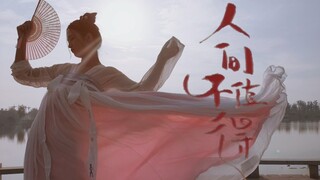 【阿猫】人间不值得『捻杯酒眯着眼，说专心看人间』，看啥，看云云╭(╯ε╰)╮原创，请忽略我凌乱的毛发QAQ