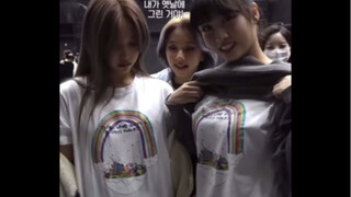 我兔拯救我的崩溃生活