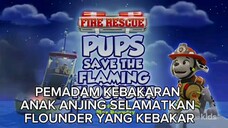 Paw patrol musim 11 Episode 22 Bahasa indonesia