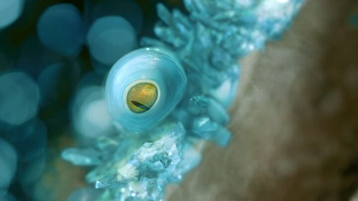 Loài sinh vật kỳ lạ, thích chui vào một số bộ phận trên cơ thể người để hút nhiệt!