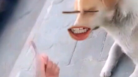 Hahaha, you're hilarious!