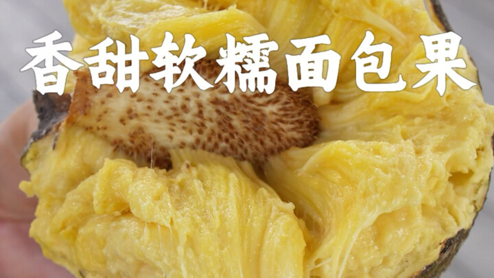 “Bread” that grows on trees—when ripe, it stretches like cheese.