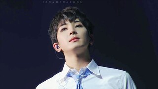 【SVT/认人中字】Kidult◎永远能带来力量和信念感的大小孩◎2023 TOUR ‘FOLLOW’ TO SEOUL