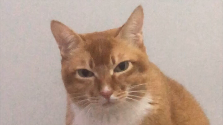 Inilah cara ekspresinya