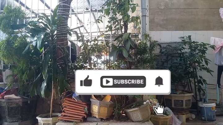 Bảo Đẹp Trai Vlog