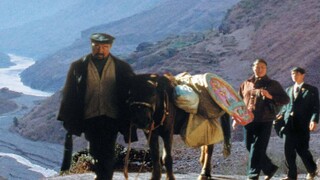 Douban scored 7.7, only sold 2,000 yuan in China, but won a big award in Italy