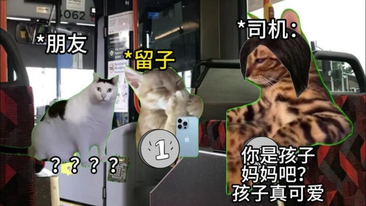 【Meme mèo】Cảm giác bị coi là trẻ con khi ở ngoài là như thế nào nhỉ