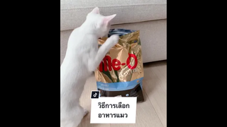 วันนี้ สาระมาเต็มเลยนะ เจอร์รี่ 🥰🥰🥰