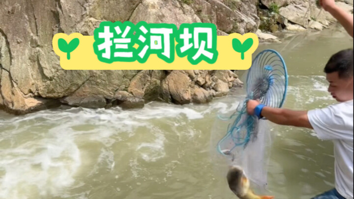 Xiao Hegou built a small dam across the stream. The water flows primarily into the pond at the chick