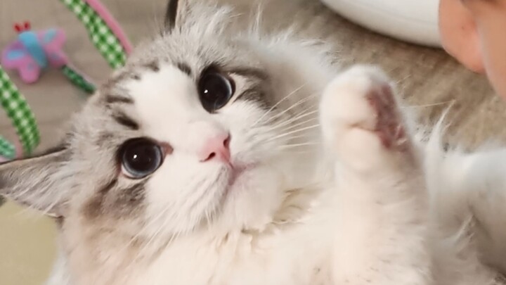 Muốn từ chối nhưng sợ bẩn tay