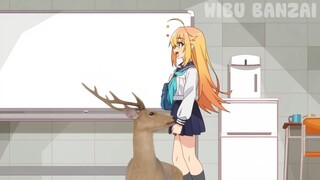 Bạn Thân Tôi Là 1 Con Nai Ngáo - REVIEW PHIM ANIME HAY -Ookami Shoujo to Kuro Ouji Wiki - Wolf Girl