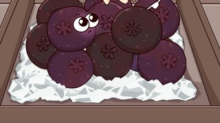 It turns out that there are some rules for selecting mangosteen.