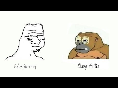 ทำบททดสอบลิง : [ 𝓕𝓮𝓿𝓮𝓻 𝓓𝓻𝓮𝓪𝓶 ]