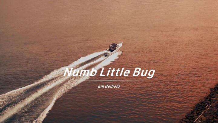 用清澈的声音《Numb Little Bug》唱着压抑的歌词