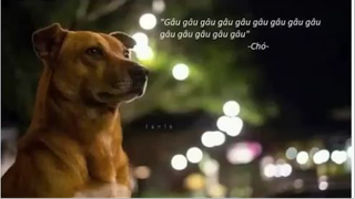 CÁCH ĐỂ NÓI CHUYỆN VỚI CHÓ (Mà không cần sủa) - Nhện tri thức#1.1