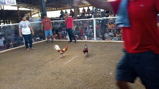 2Hits ulotan 1st fight loss mga boss