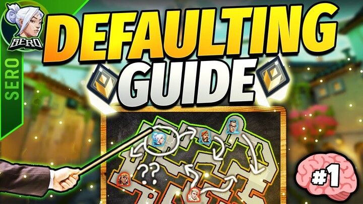 In-Depth Guide to Defaulting | All Brain No Aim #1 🧠
