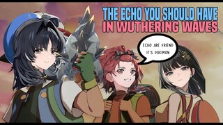 THE ECHO YOU SHOULD HAVE IN WUTHERING WAVES