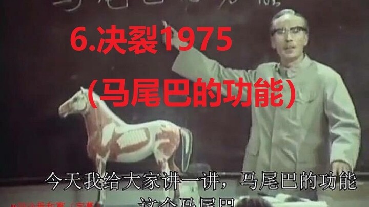 6. Breakup 1975 (Chức năng của tóc đuôi ngựa) (có phụ đề)