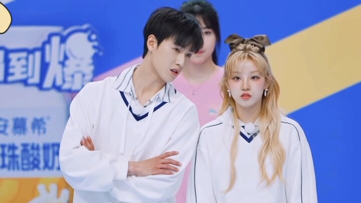 [Yunqi] Two happy little dogs just look so cute together (self-admiring in their own little world)