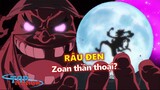 Liệu TAQ của Râu đen có phải là Zoan thần thoại?