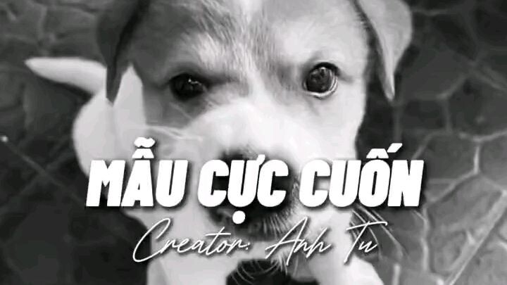 hết cứt