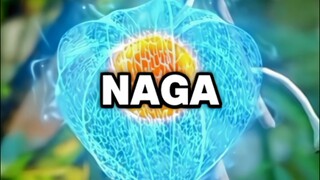 APA ITU BUAH NAGA PONIK?? BTTH DONGHUA