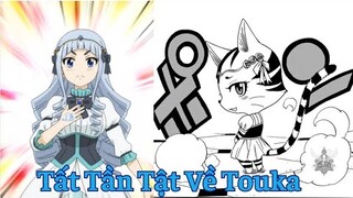 Fairy Tail:Nhiệm Vụ 100 Năm|Tất Tần Tật Về Touka - Cô Mèo Thích Happy|Hồ Sơ Nhân Vật #49|GSAnime.