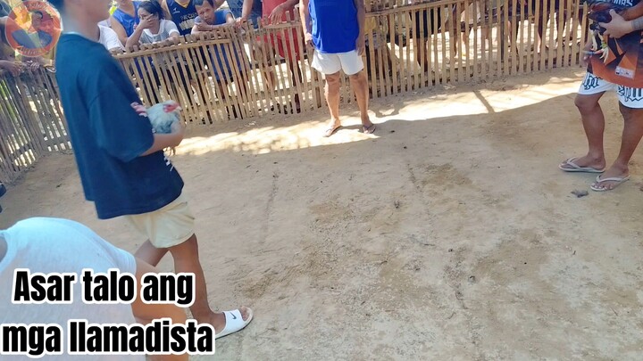 Bulik from Puerto Dehado Vs Pula from El Nido llamado Laban sa sitio. bangccoro brgy. Liminangcong