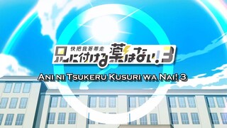 S3 E1-4 | Sub Indo |「Ani Ni Tsukeru」| Season 3, Eps 1-4 |