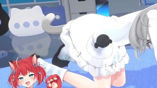 [Ganjo Cat 3D Episode] You will see the rest~ Stupid! No!