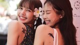 [JenLisa] Mix Cut Siêu Ngọt, Không Ngọt Không Lấy Tiền