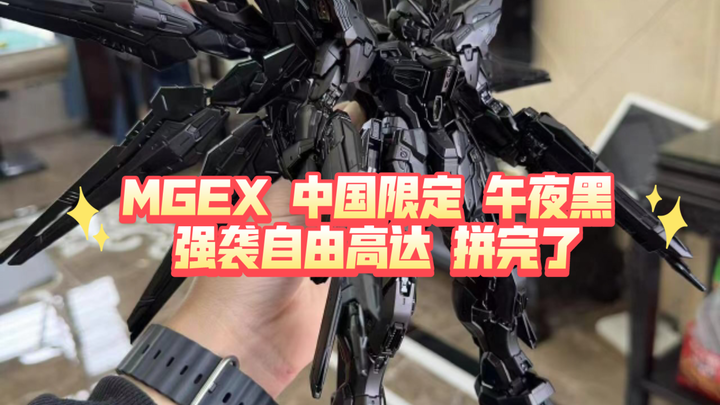 MGEX China Limited Midnight Black Strike Freedom đã hoàn thành