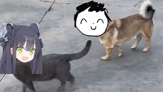 [ไฟล์สีน้ำเงิน] ครูที่ติดตามไชน่าคอปเปอร์