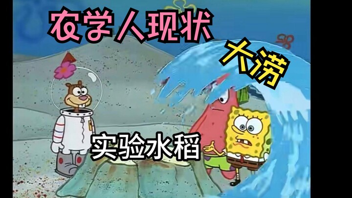 农学人现状