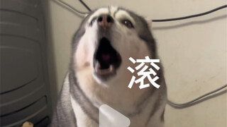 Thankfully, the cursing has temporarily stopped—it was getting really nasty!