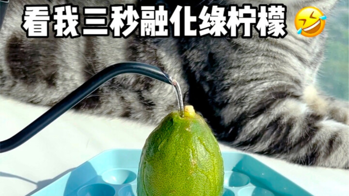 Anda tidak pernah tahu apa yang ada di nampan es blogger minuman 🤔