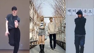 《WaDaDa》挑战还差33和苔藓一家人就齐全了