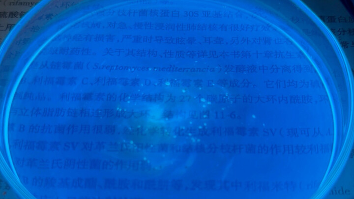 Cùng tôi ngắm sao trời