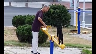 你蹦蹦跳跳的背影，融化在我暮景残光里