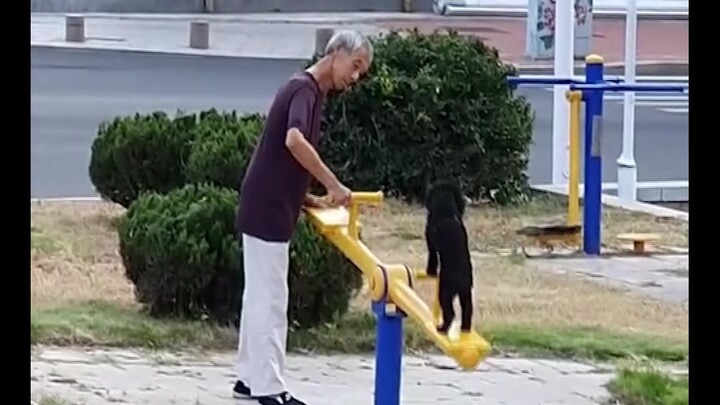 Your bouncing back melts into the fading light of my evening scene