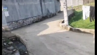 终究是活成了自己最讨厌的样子