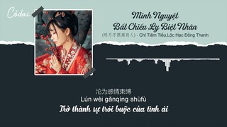 [Vietsub + Pinyin] Minh Nguyệt Bất Chiếu Ly Biệt Nhân (明月不照离别人) - Chỉ Tiêm Tiếu, Lộc Hạc Đồng Thanh