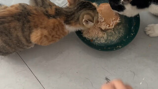 Selling some stuff—two videos in one!