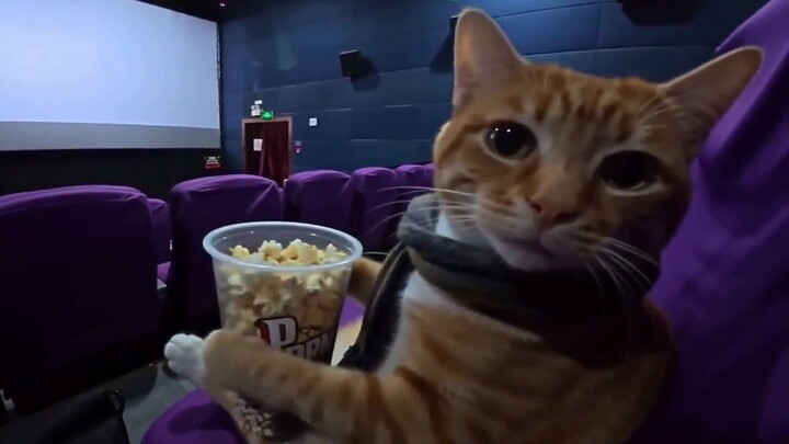 Come find me when you're feeling down!