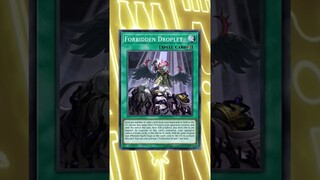 EVERY Yu-Gi-Oh Player Gets Confused By This Interaction! #shorts